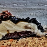 The Beautiful Wood Nymph Moth, Eudryas grata